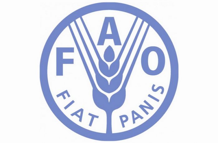 ФАО откроет представительство в Албании и поможет с развитием лесного хозяйства