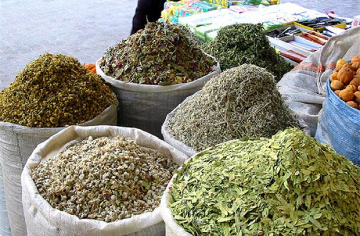 Лекарственные растения – важнейший экспортный продукт Албании