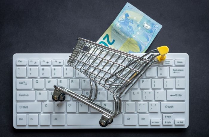 ¼ предприятий Албании принимают заказы через интернет, онлайн-торговля выросла на 9,7%