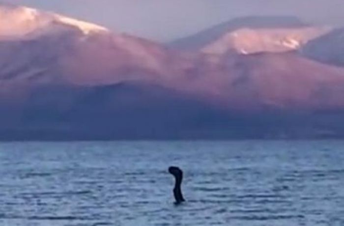 Лох-несское чудовище замечено в Албании